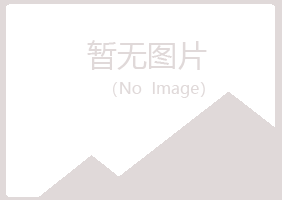 高州晓夏采矿有限公司